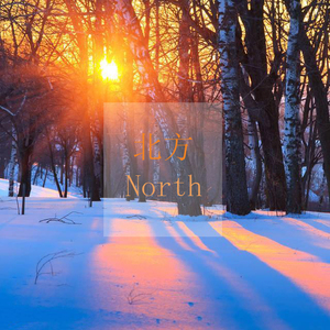 董文华三级片？
